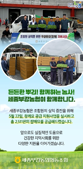 조합원 실익을 위한 우량종묘(참깨) 지원사업 실시 대표 이미지